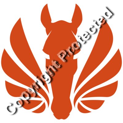 horsanity orange icon