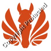 horsanity orange icon