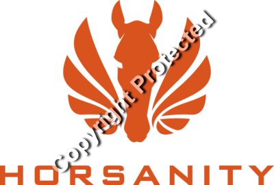 Logo type orange