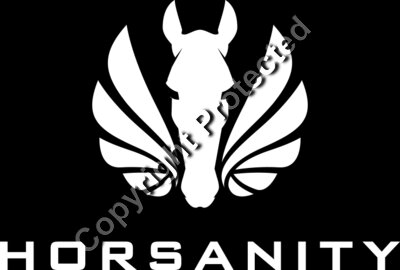 Logo type white